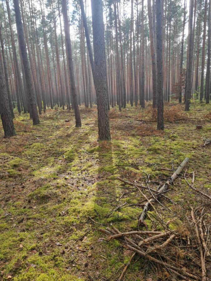 Sloneczny Zakatek Villa Lubrza  Exteriör bild